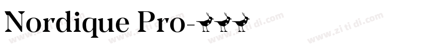 Nordique Pro字体转换